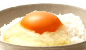 野澤養鶏